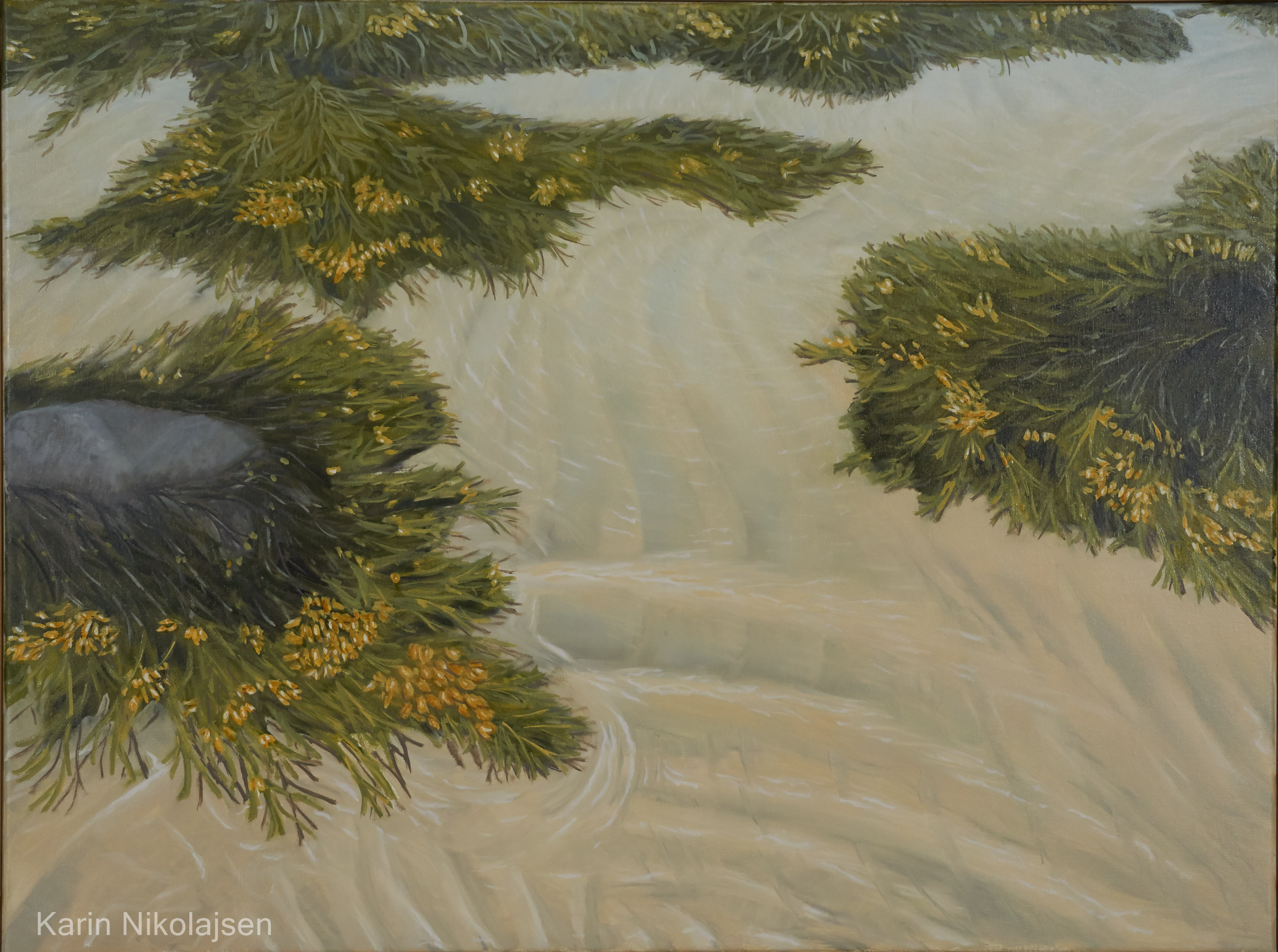 Ripples at low tide (Bladder Seaweed)